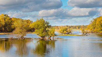 Mehr über den Artikel erfahren Gemeindeausflug ins Oderbruch nach Altranft am 11. Oktober